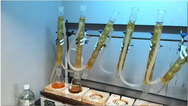 苏州水处理中那些你不知道的污水微生物